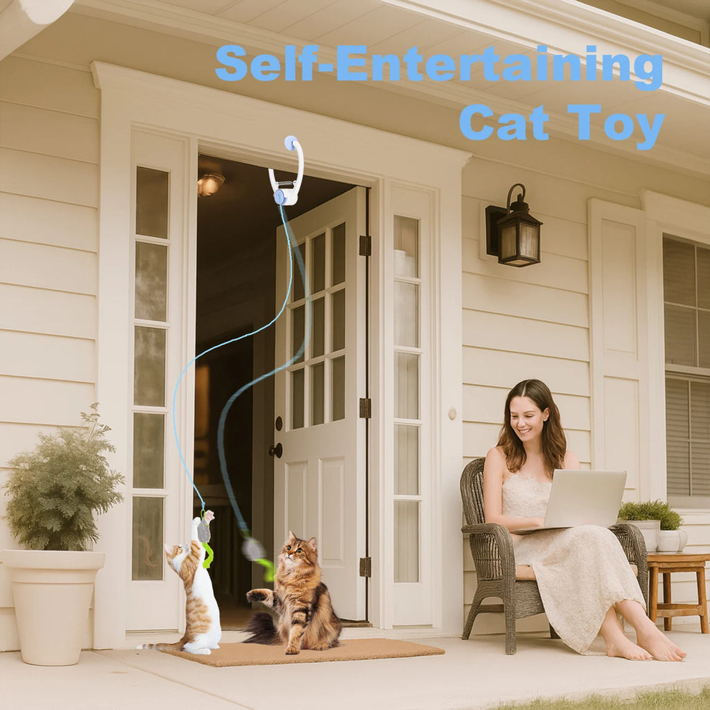Electric Door Hanging  Interactive Cat Toy