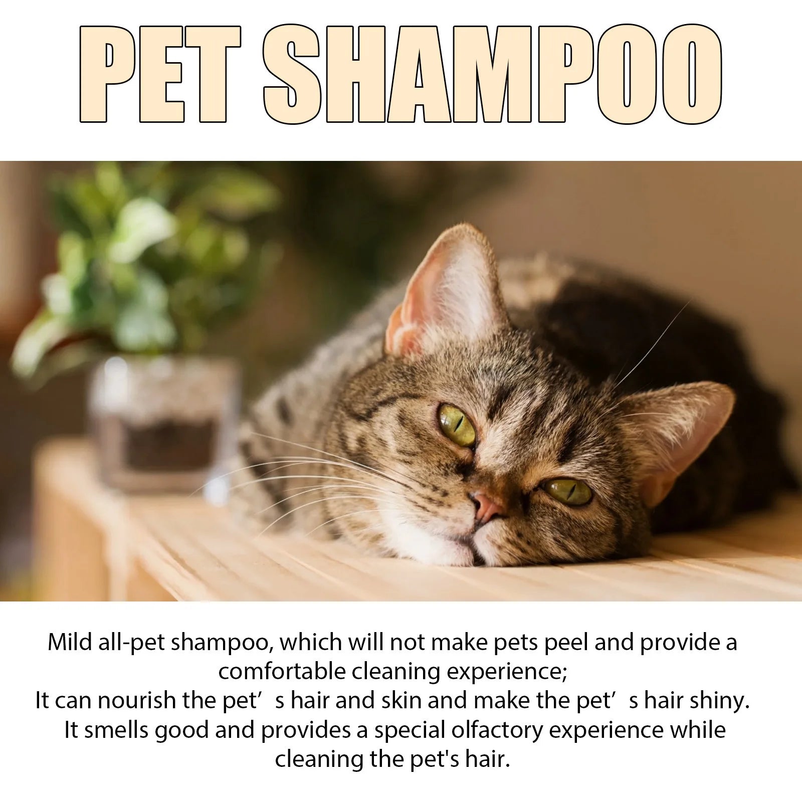 Dog Wash Shampoo: Flea & Mite Killer