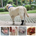 (one) Pet Dog Shoes Outdoor Waterproof Injury Protection Cover