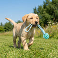 Dog Chew Ball, Treat Dispenser