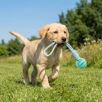 Dog Chew Ball, Treat Dispenser