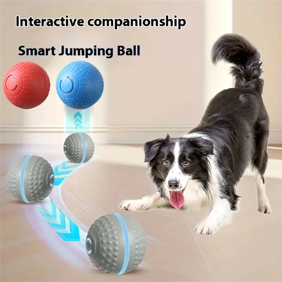 Smart Dog Toy Ball Interactive Pet