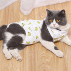 Cat/Kitten Recovery E-Collar Anti-Licking Pajamas Suit