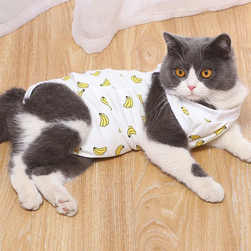 Cat/Kitten Recovery E-Collar Anti-Licking Pajamas Suit