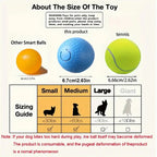 Smart Dog Toy Ball Interactive Pet