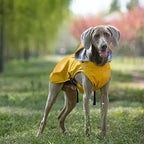 Lightweight Pet Rain Jacket  Hooded