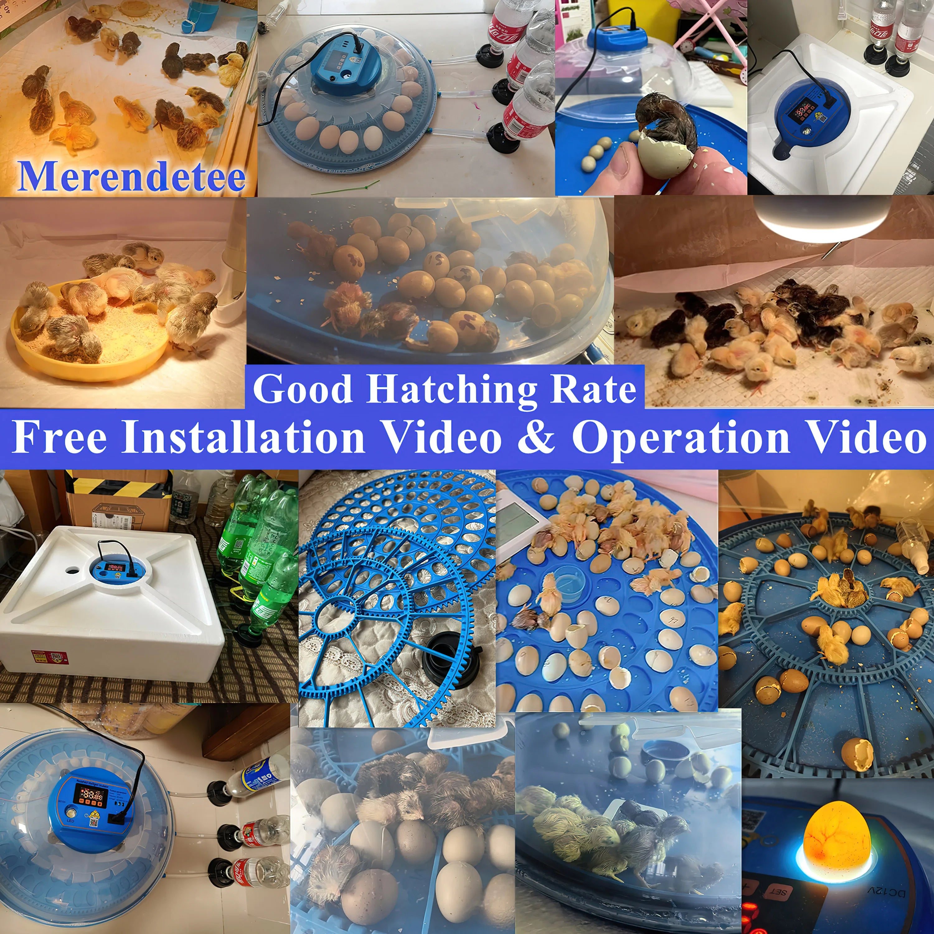 26-52 Eggs Automatic Incubator