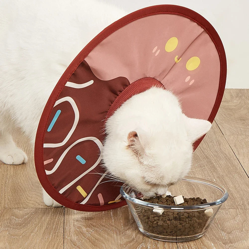 Pet Collar Surgical Wound Healing Recovery