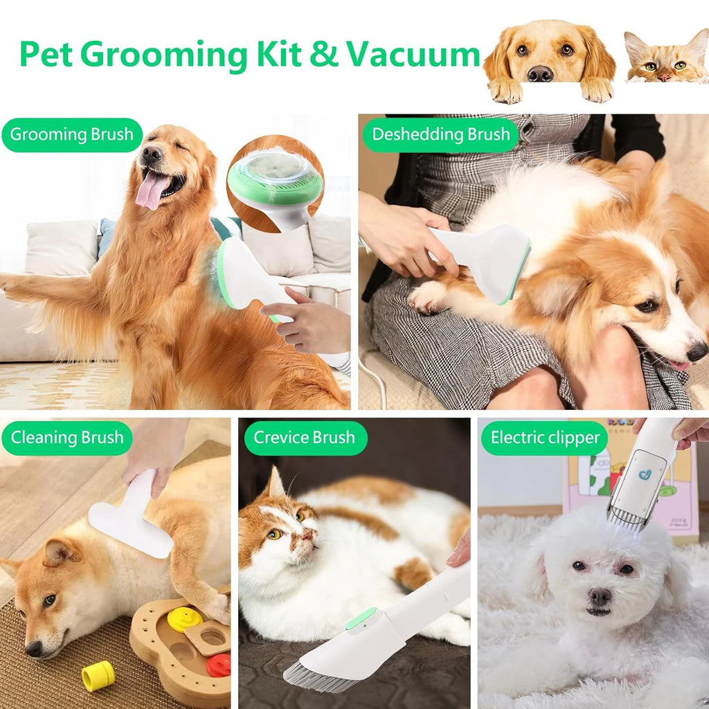 Professional Quiet Dog Grooming Vacuum Kit