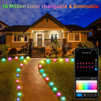 Wiscolor LED Light APP Control for Garden Lawn Courtyard