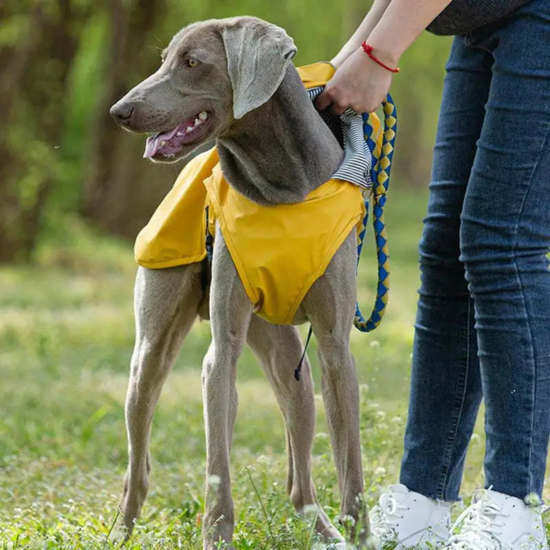 Lightweight Pet Rain Jacket  Hooded