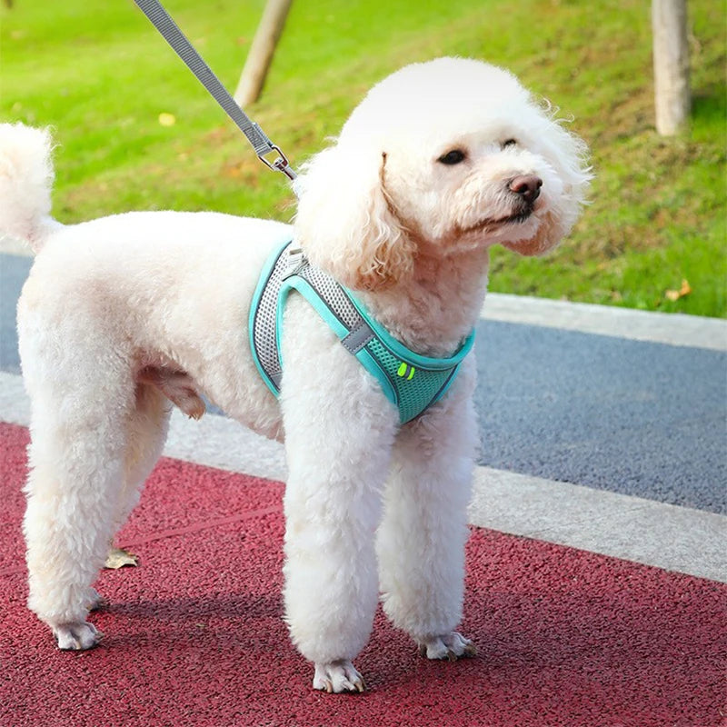 Dog Cat Harness/Vest Reflective Breathable Adjustable