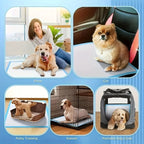 100/50/40PCS Dog Pee Pads