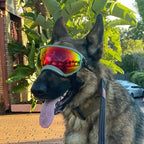 Dog Goggles Anti-UV Sun Eyewear Protection