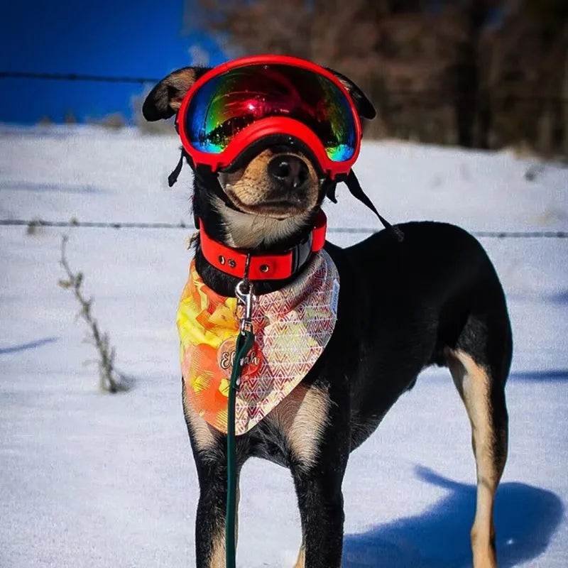 Dog Goggles Anti-UV Sun Eyewear Protection