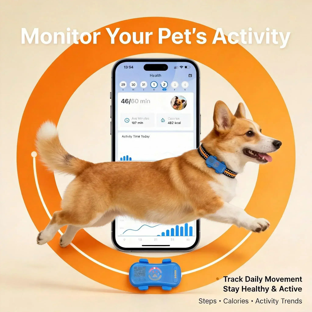 GPS Pet Tracker 4G for Dogs & Cats