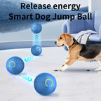 Smart Dog Toy Ball Interactive Pet