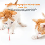 Laser Light Cat Collar Interactive Toy