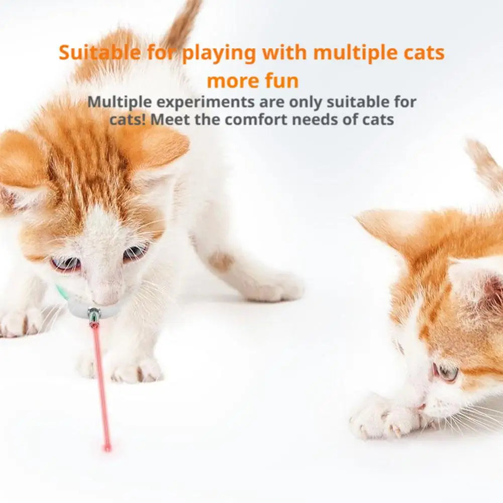 Laser Light Cat Collar Interactive Toy