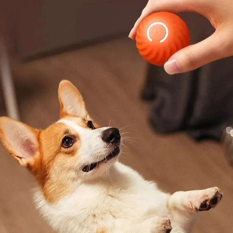 Interactive Dog Chew Toy Ball