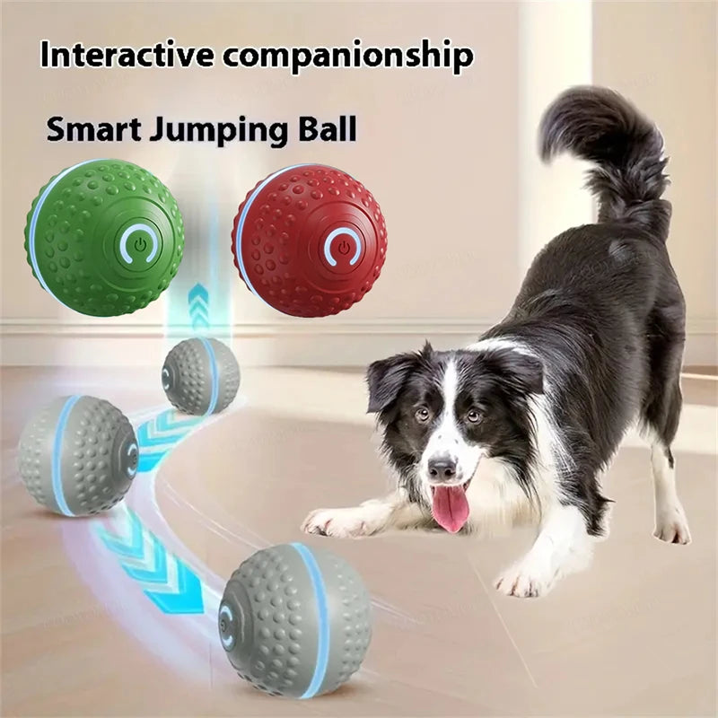 Smart Dog Toy Ball Interactive Pet
