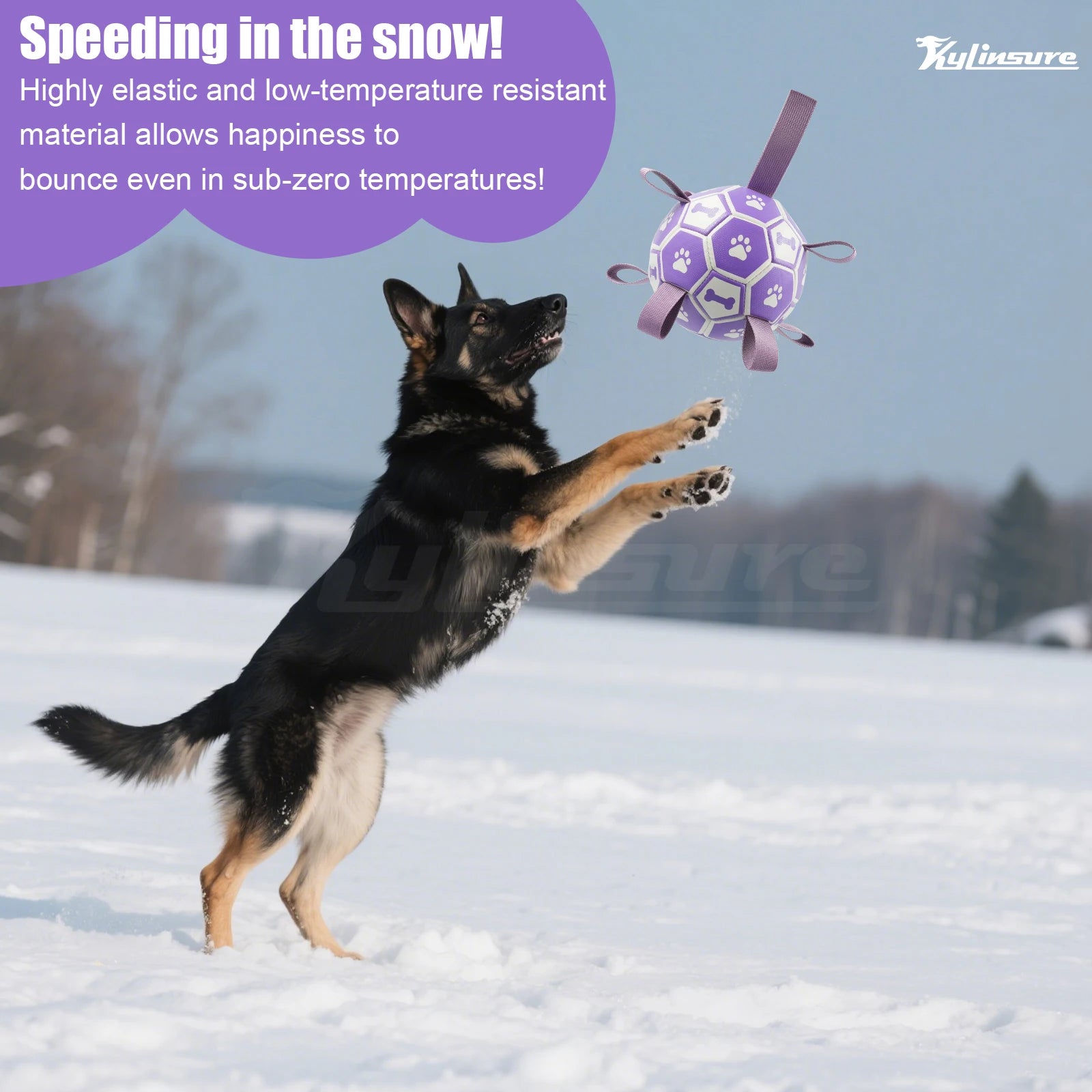 Interactive Dog Toy with Straps
