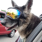 Dog Goggles Anti-UV Sun Eyewear Protection