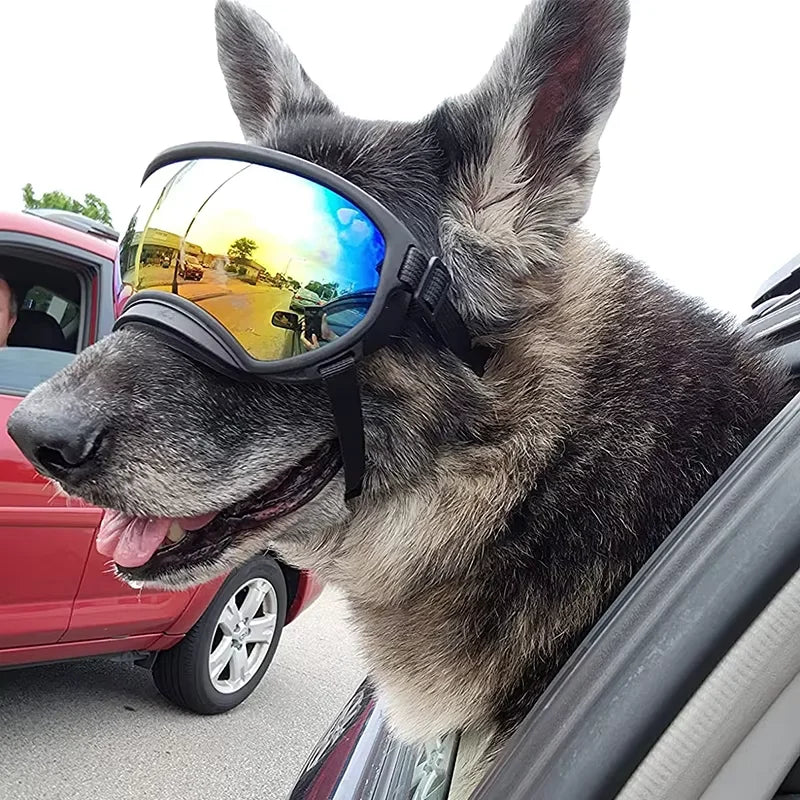 Dog Goggles Anti-UV Sun Eyewear Protection