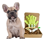 4-FURRY DOGS *REGULAR GROOMING KIT