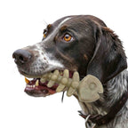 Fish Bone Nylon Dog Toy