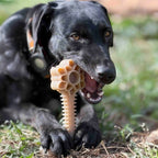 Honey Bone Dental Flower Tower