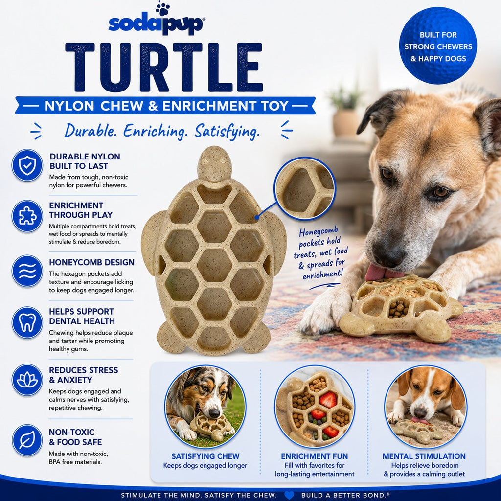 Turtle Nylon Chew Toy