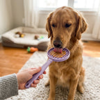 Interactive Lick Stick