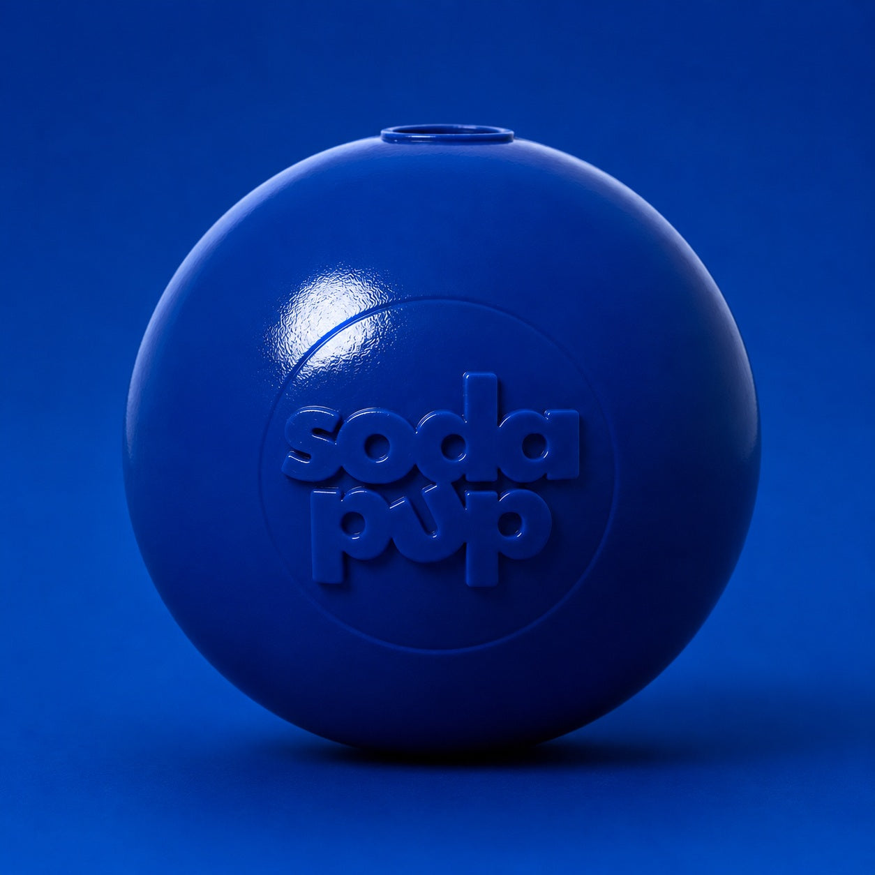 Squeak Ball - Durable Squeaky Dog Toy