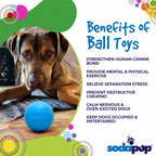 Squeak Ball - Durable Squeaky Dog Toy
