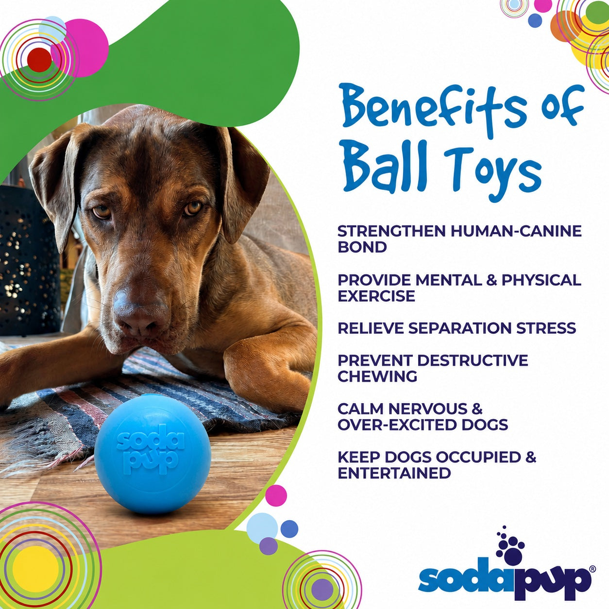 Squeak Ball - Durable Squeaky Dog Toy