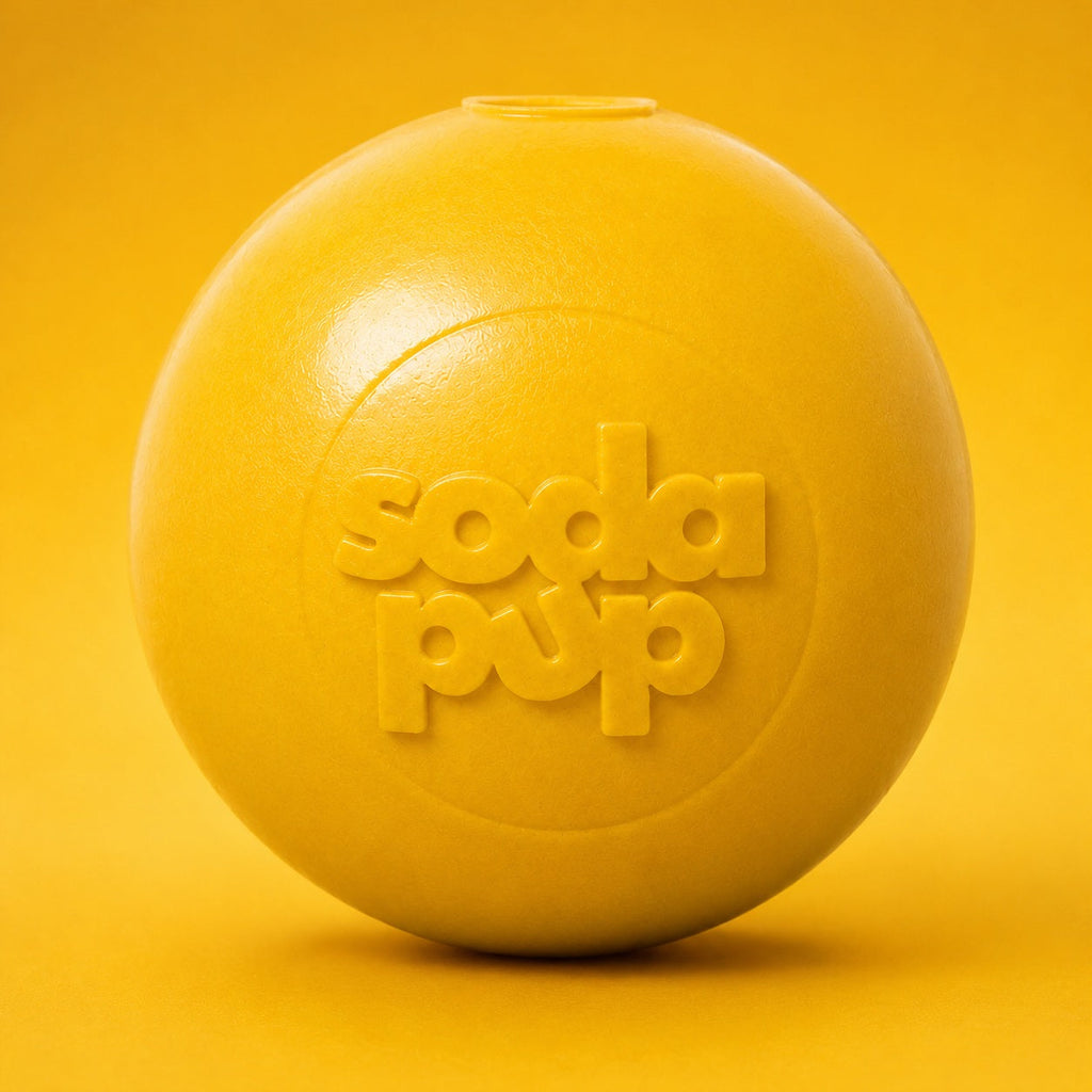 Squeak Ball - Durable Squeaky Dog Toy