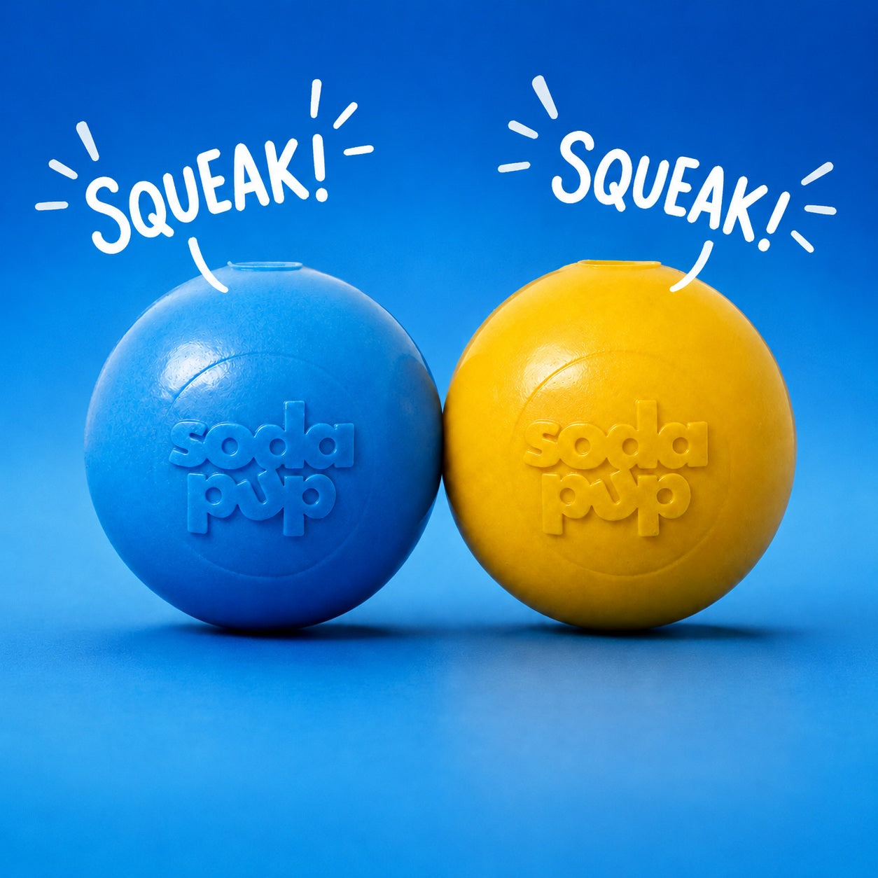 Squeak Ball - Durable Squeaky Dog Toy