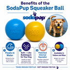 Squeak Ball - Durable Squeaky Dog Toy