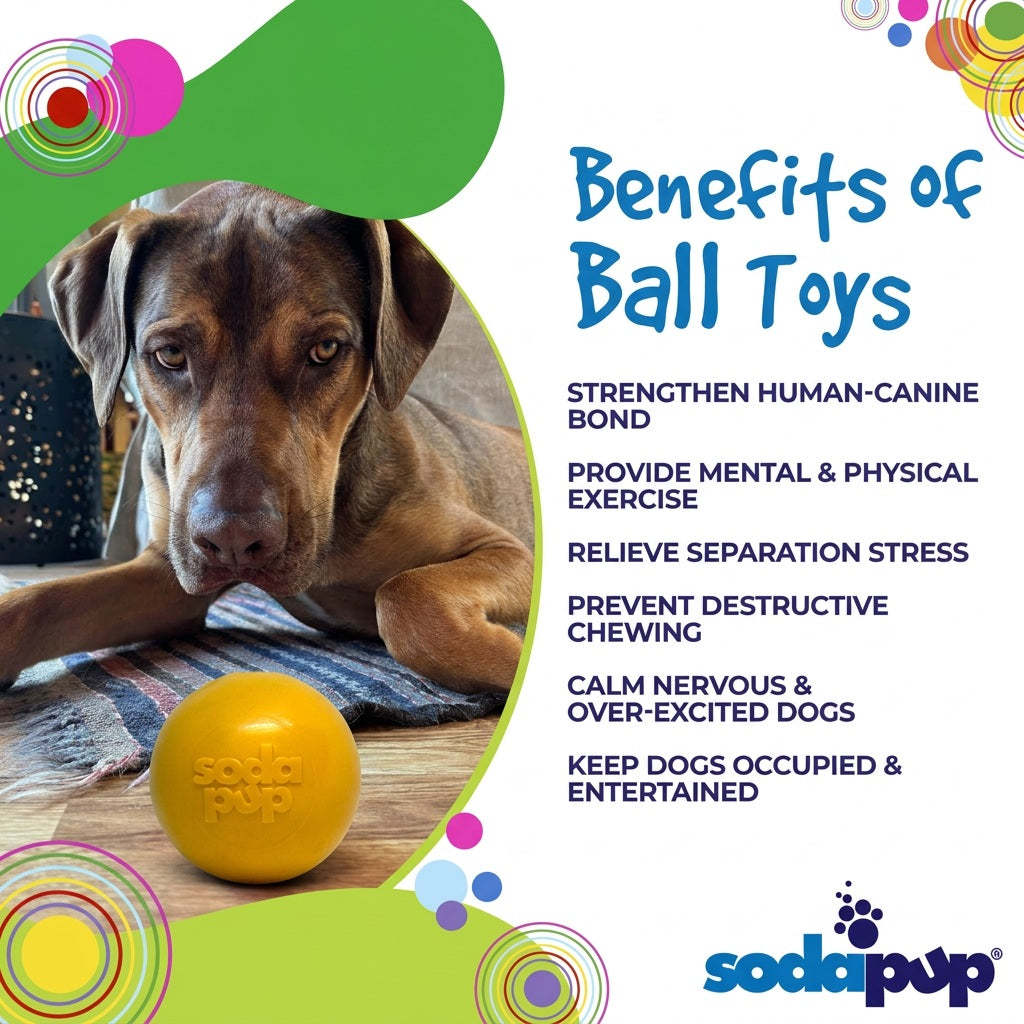 Squeak Ball - Durable Squeaky Dog Toy