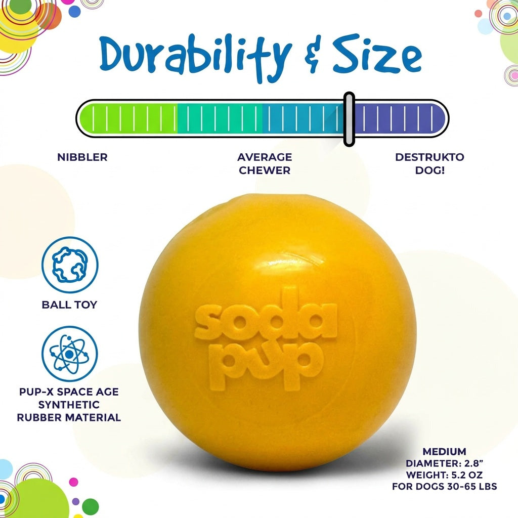 Squeak Ball - Durable Squeaky Dog Toy