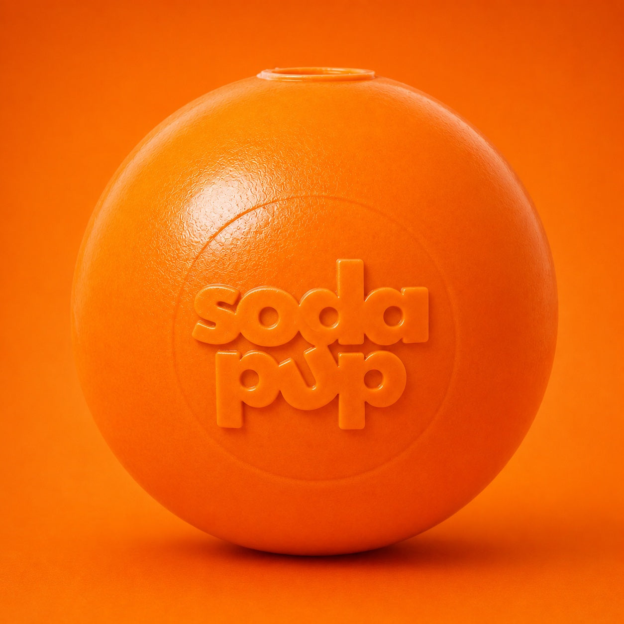 Squeak Ball - Durable Squeaky Dog Toy
