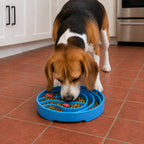 Baja Design eTray - Shallow Slow Feeder
