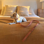 Tilley + Me Hemp Cotton Dog Collar