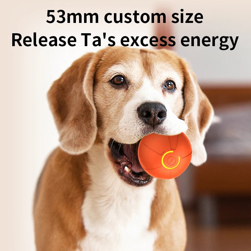 Smart Dog Toy Ball Interactive Pet