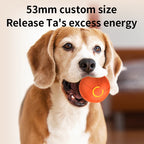 Smart Dog Toy Ball Interactive Pet