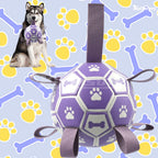 Interactive Dog Toy with Straps