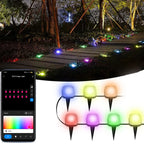 Wiscolor LED Light APP Control for Garden Lawn Courtyard