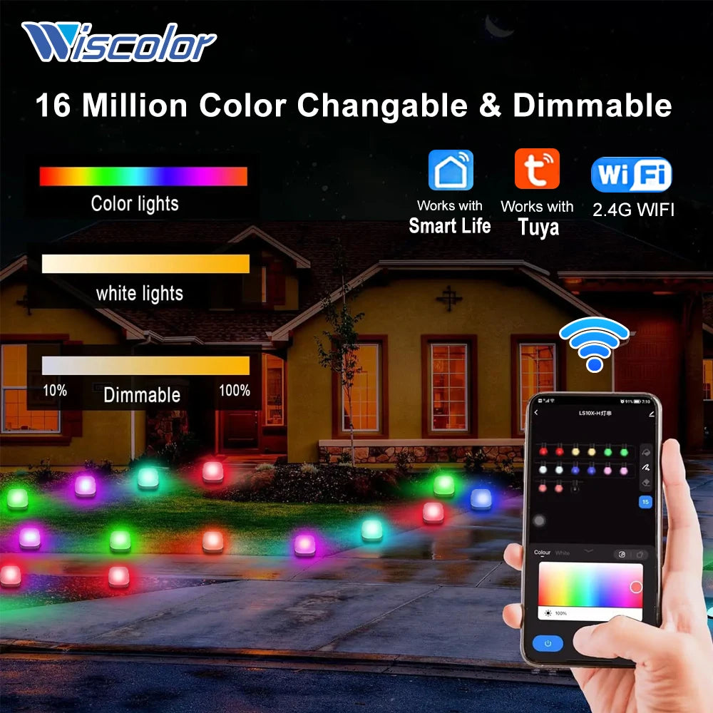 Wiscolor LED Light APP Control for Garden Lawn Courtyard