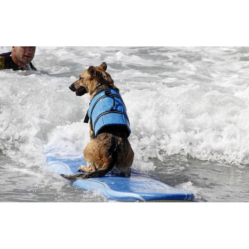 Pet Swimming Water Safety Vest